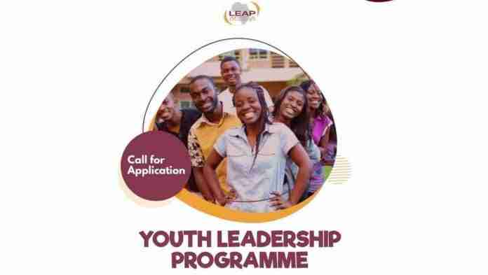 Leap Africa Young Professional Development Programme