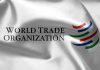 2024 World Trade Organization Internship Program | Step-by-Step Process World Trade Organization Internship Program