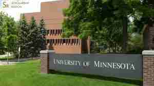University of Minnesota Undergraduate Scholarship
