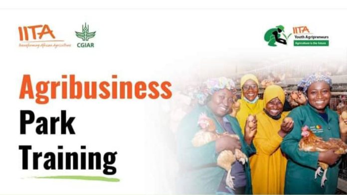 IITA Agribusiness Training