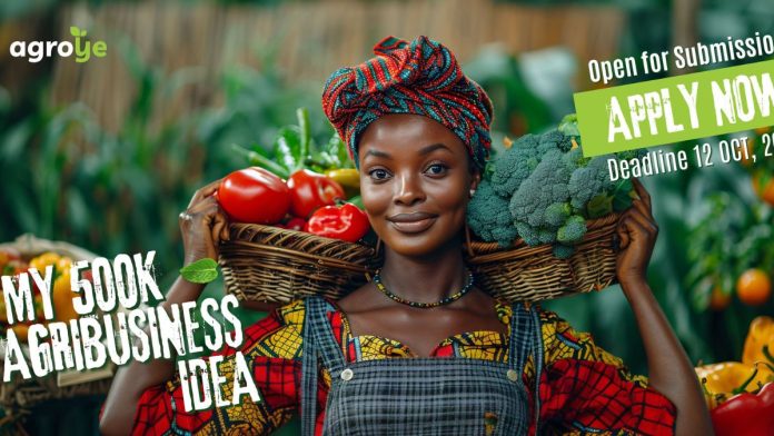 Agroye My 500K AgriBusiness Idea Competition