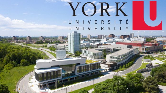 York University Graduate Scholarship