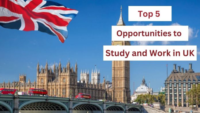 Top 5 Opportunities to Study and Work in UK